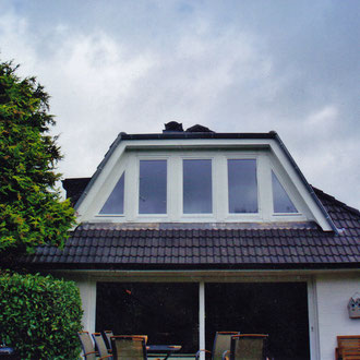 dachgauben1