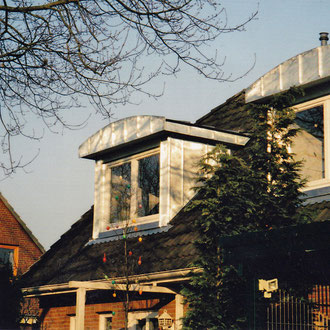 dachgauben4