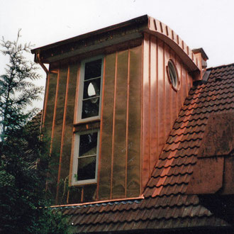dachgauben6