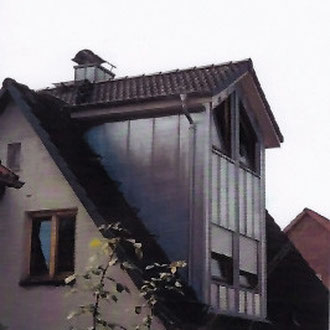 dachgauben7
