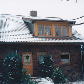 dachgauben8