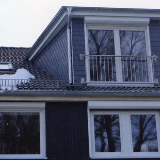 dachgauben9
